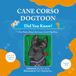 Cane Corso DogToon: Did You Know?: Fun Facts About the Cane Corso DogToon