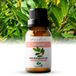 Zenful Laurier olie - 100% Puur & Bio - Etherische olie - Laurierblad - 10 ml