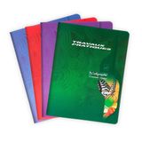 Clairefontaine Calligraphe 2592C – een praktisch knutselschrift (serie 7000 van Clairefontaine), 96 pagina's, 17 x 22 cm, grote ruiten, 70 g en eenkleurige pagina's, 90 g, omslag offsetkaart, kleur willekeurig
