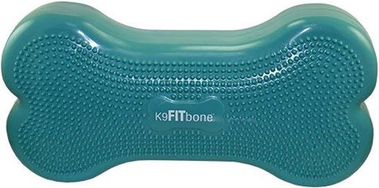 FitPAWS K9Fitbone - Turquoise