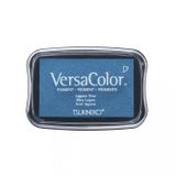 Rayher Hobby 29017390 Tsukineko Versa Color Pigment stempelkussen, lagune, 9,6 x 6,3 x 1,8 cm, inkt op waterbasis