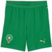 PUMA Short Buitenkind Marokko Coupe du Monde 2026 Groen/Goud Polyester 9-10 jaar