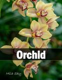 Orchid Coffee Table Book