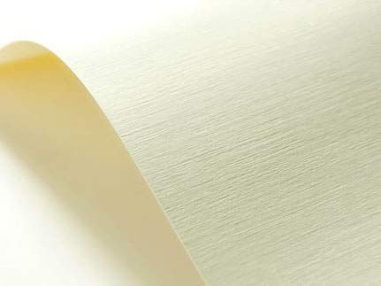Netuno - ecru gestructureerd papier - linnenstructuur - A4 - 21 x 29,7 cm - 20 vellen - 246 gram - Elfenbens