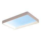 Philips Hue Philips Skylight Daglichtlamp Groot