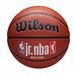 Wilson Jr NBA Fam Basketbal Maat 6 Binnen/buiten Bruin Eco-leer