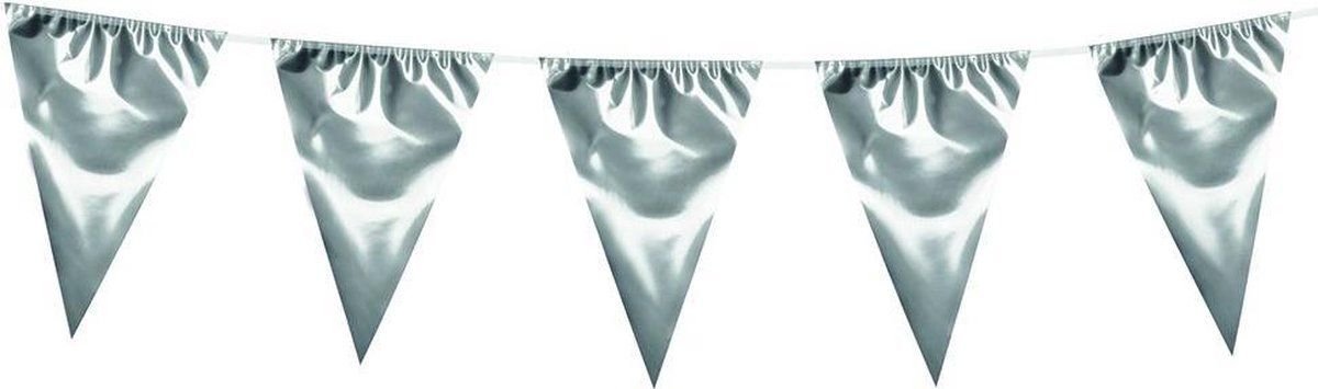 Boland Reuze-wimpelketting Metallic Zilver - 10 meter