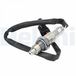 Delphi Technologies Sonde Lambda ES21423-12B1 Citroën 9810667080