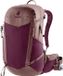 Deuter Futura 25 SL - Wandelrugzak 52 cm (cassis-ashrose)