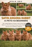 SATIN Bol Satin Angora Rabbit as Pets for Beginners