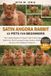 SATIN Bol Satin Angora Rabbit as Pets for Beginners