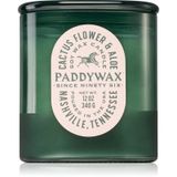Paddywax Vista