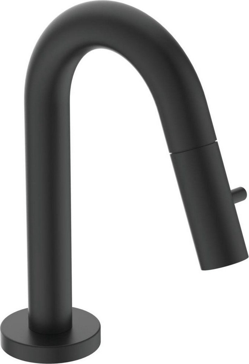 Ideal Standard Fonteinkraan F2842Xg - RVS - 3800861102007