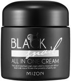 Mizon Black Snail All In One Cream