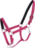 HKM Stars Halster - Roze - Xfull