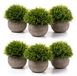 Solidchoice - Set de 6 plantes artificielles pour usage intérieur