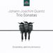 Ensemble Labirinto Armonico - Quantz: Trio Sonatas (CD)