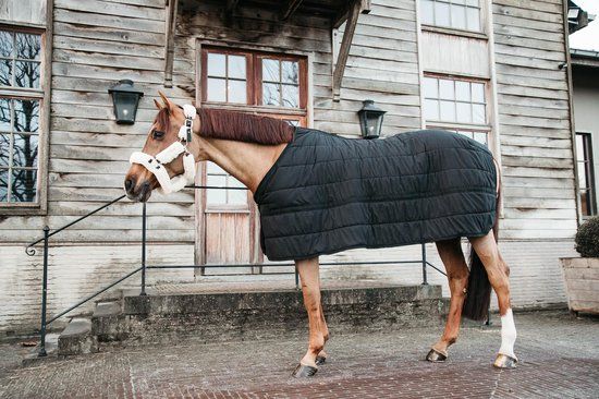 Kentucky Horsewear Onderdeken - Zwart - 140 - 150gr - Paard