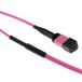 ACT 35 meter Multimode 50/125 OM4(OM3) glasvezel trunkkabel polariteit A met MTP/MPO female connectoren