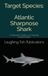 Target Atlantic Sharpnose Shark: A Fisherman’s Guide to an American Coastal Predator