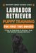 Labrador Retriever Puppy Training for First-Time Owners: A Step-by-Step Guide to Raising a Calm, Well-Behaved Labrador Retriever