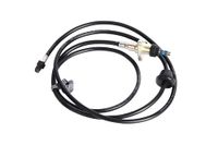 ACDelco 22936386 GM Origineel Apparatuur Radio Antenne Basismontage
