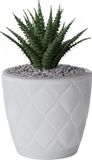 Form Plastic Plantenpot/bloempot New Age - kunststof - ivoor wit - D23 x H21 cm - met opvang schotel - rond