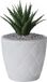 Form Plastic Plantenpot/bloempot New Age - kunststof - ivoor wit - D23 x H21 cm - met opvang schotel - rond