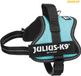K9 Julius K9® Powertuig Blauw XS/Mini-Mini 40–53 cm 22 mm Hond