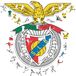 Iconic Puzzles Benfica Logo Vormpuzzel 270 stuk(s)