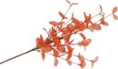 DK Design Kunstbloem Eucalyptus tak Silk - 72 cm - Licht oranje