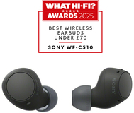 Sony WF-C510 - Draadloze oordopjes - Zwart