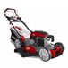 DEDRA DED8725Q-56L Grasmaaier