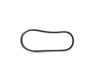 DAYCO 10A0925C riem