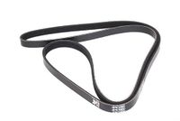 JAPANPARTS DV-4PK1600 Courroie Poly-V