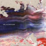 We Heliochrysum - We Become Mist (LP)