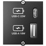 Bachmann Custom module - Plaat met klik-in voor modulaire voorziening - USB Type A, USB type C - zwart
