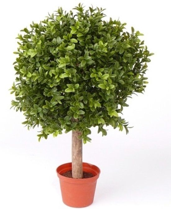 Bellatio Flowers & Plants Buxus bol kunstplant op stam in pot 35 cm - groen