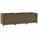 VidaXL Verhoogd bed 120x40x38 cm polypropyleen Bruin