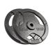 Rebel halterset gietijzer 2 x 15 kg boring 31 mm greepplaat RBA-2136