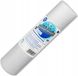Aquafilter 5 pièces Filtre à sédiments 1 micron