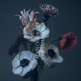 Universal Music Belgie Alain Chamfort - L'Impermanence (CD)