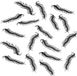 Chaks Nep duizendpoten 14 cm - zwart - 32 stuks
