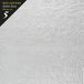 Archive Iron And Wine Archive Series Vol. 5: Tallahassee (CD)