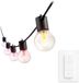 Philips Hue Festavia Guirlande Lumineuse 30 Ampoules Sphériques - 21 mètres - Lumière Blanche et Colorée - Incl. Hue Dimmer Switch