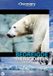Baeckens Discovery Bedreigde Diersoorten - De Ijsbeer (DVD)