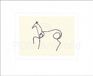 PGM Your Decoration B.V. Kunstdruk Pablo Picasso - Le Cheval 50x60cm