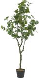 HOME DECO FACTORY Kunstplant Eucalyptus