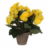 Mica Decorations Kunstplant - Begonia - Geel - In Pot - 25 cm