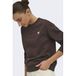 JDY rechtvallende sweater met borduursels en print - bruin